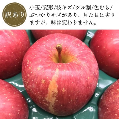 青森県産「サンふじ」家庭用　訳あり 光センサー選果済　約3kg