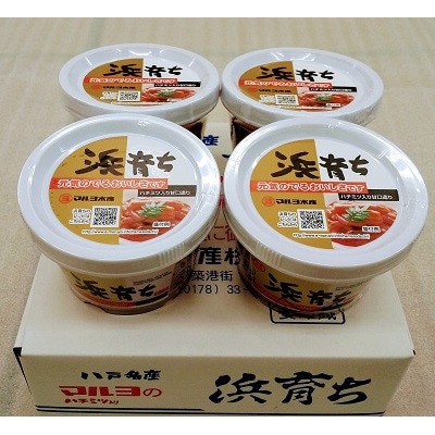 いか塩辛　浜育ち(220g×4)