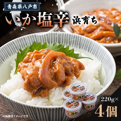 いか塩辛　浜育ち(220g×4)