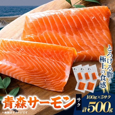 青森サーモン　サク　100g×5サクセット