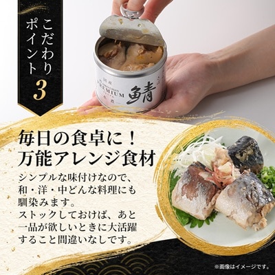 あいこちゃんプレミアム サバ缶水煮　190g×6缶