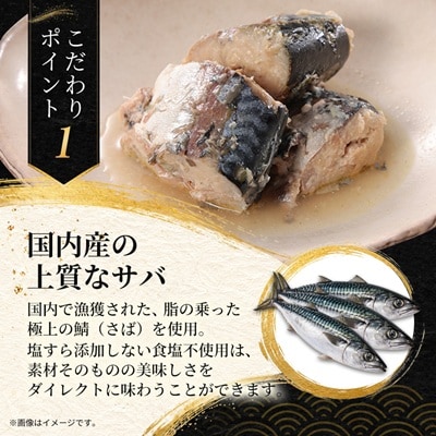 あいこちゃんプレミアム サバ缶水煮食塩不使用　190g×24缶