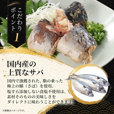 あいこちゃんプレミアム サバ缶水煮食塩不使用　190g×6缶