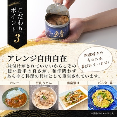 あいこちゃんプレミアム サバ缶水煮食塩不使用　190g×6缶