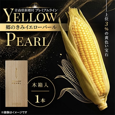 上位3%の奇跡「郷のきみイエローパール」プレミアムとうもろこし　1本
