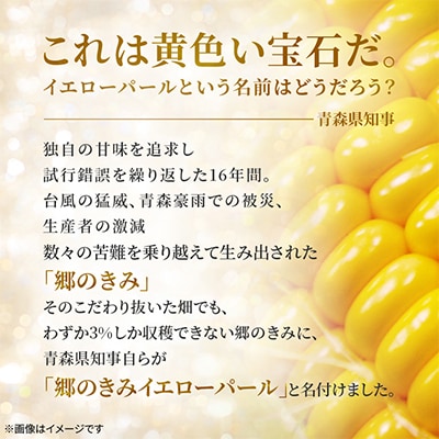 上位3%の奇跡「郷のきみイエローパール」プレミアムとうもろこし　1本