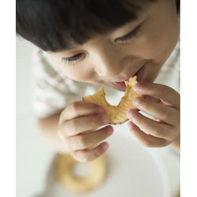 青森県産ふじ使用ドライアップル