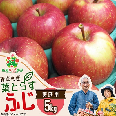 葉とらずふじ家庭用5kg