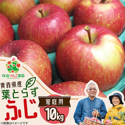 葉とらずふじ家庭用10kg