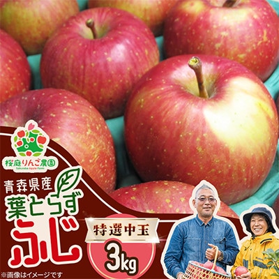 葉とらずふじ特選中玉3kg