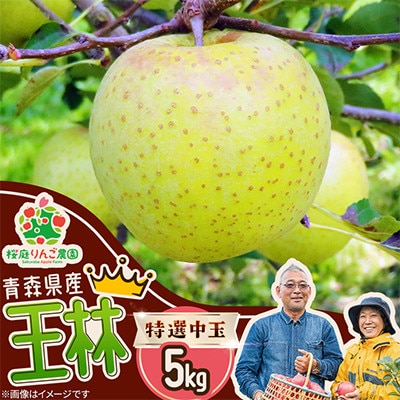 王林特選中玉5kg