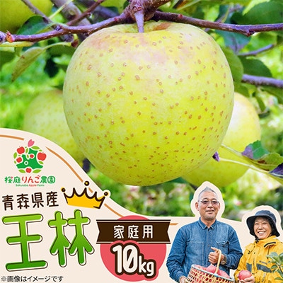 王林家庭用10kg