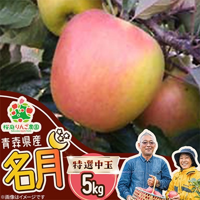 名月特選中玉5kg