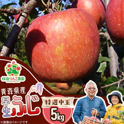 早生ふじ特選中玉5kg