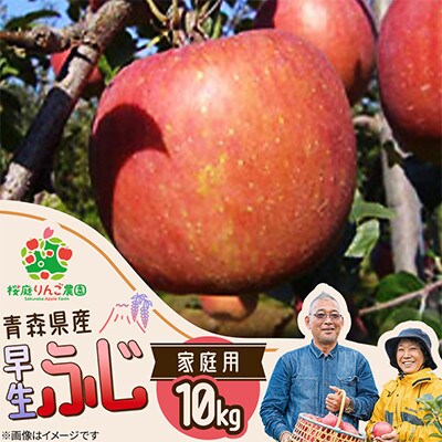 早生ふじ家庭用10kg