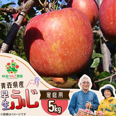 早生ふじ家庭用5kg