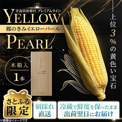 【関東・関西限定】収穫の翌日届く!「郷のきみイエローパール」高級とうもろこし　1本【さとふる限定】