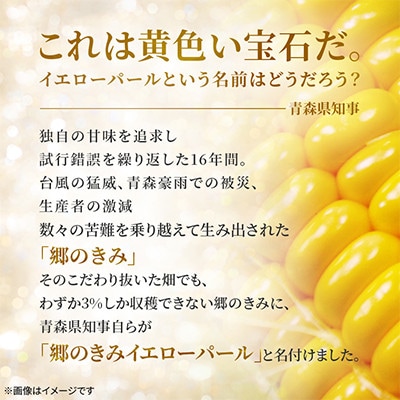 【関東・関西限定】収穫の翌日届く!「郷のきみイエローパール」高級とうもろこし　1本【さとふる限定】