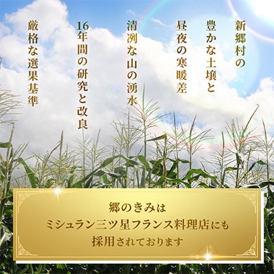 【関東・関西限定】収穫の翌日届く!「郷のきみイエローパール」高級とうもろこし　1本【さとふる限定】