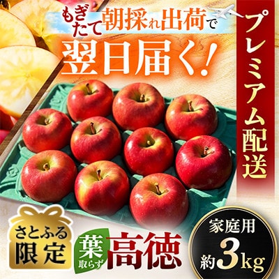 【関東限定】【朝採れりんごが翌日届く!】幻のりんご 葉取らず高徳  約3kg【さとふる限定】