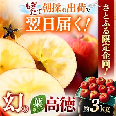 【関東限定】【朝採れりんごが翌日届く!】幻のりんご 葉取らず高徳  約3kg【さとふる限定】
