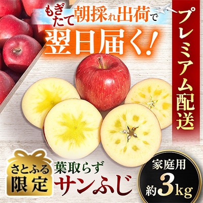 【関東限定】【朝採れりんごが翌日届く!】 葉取らずサンふじ  約3kg【さとふる限定】