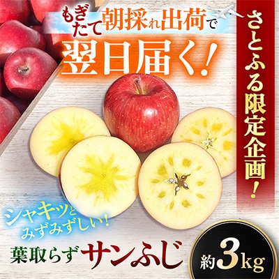 【関東限定】【朝採れりんごが翌日届く!】 葉取らずサンふじ  約3kg【さとふる限定】