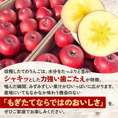 【関東限定】【朝採れりんごが翌日届く!】 葉取らずサンふじ  約3kg【さとふる限定】
