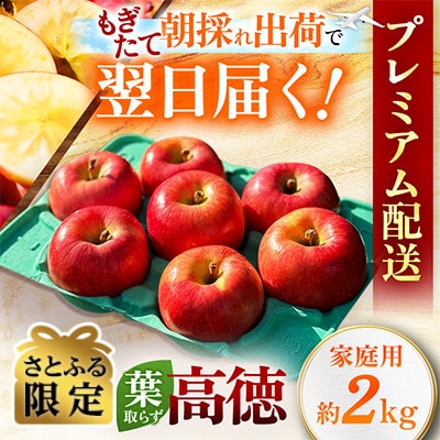 【関東限定】【朝採れりんごが翌日届く!】幻のりんご 葉取らず高徳  約2kg【さとふる限定】