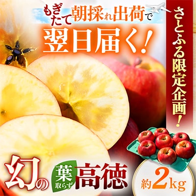 【関東限定】【朝採れりんごが翌日届く!】幻のりんご 葉取らず高徳  約2kg【さとふる限定】