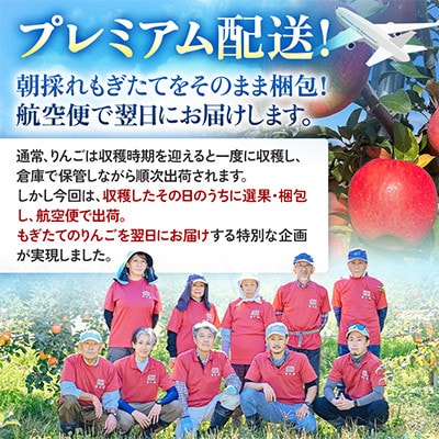 【関東限定】【朝採れりんごが翌日届く!】幻のりんご 葉取らず高徳  約2kg【さとふる限定】