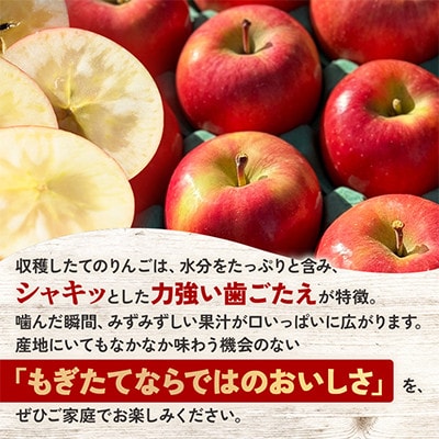 【関東限定】【朝採れりんごが翌日届く!】幻のりんご 葉取らず高徳  約2kg【さとふる限定】