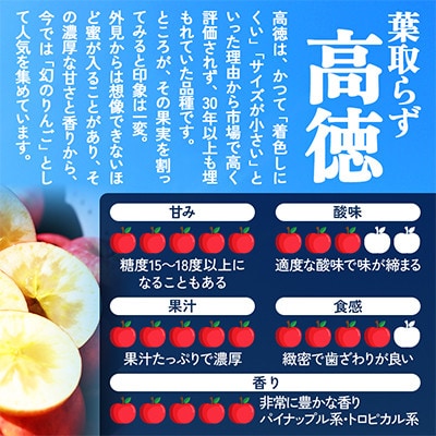 【関東限定】【朝採れりんごが翌日届く!】幻のりんご 葉取らず高徳  約2kg【さとふる限定】