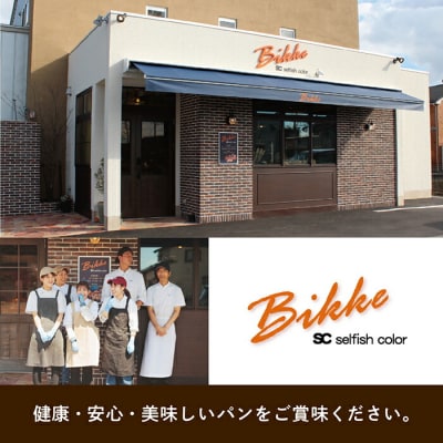 ナチュラルプレーンベーグル 10個セット もちもちベーグル 冷凍パン パンセット 
