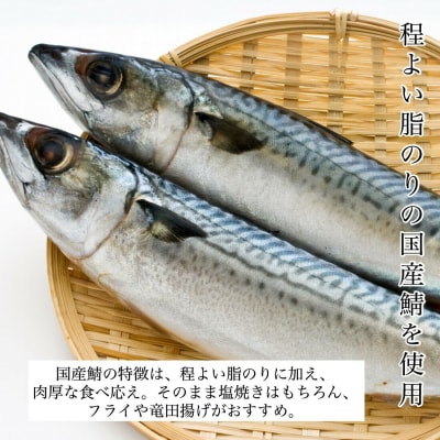 国産鯖の切り身 甘塩仕立て 10切れセット 小分け 冷凍サバ 骨取りさば