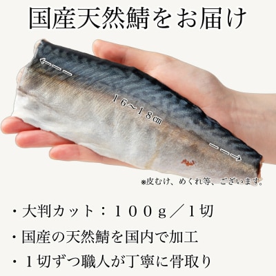 国産鯖の切り身 甘塩仕立て 10切れセット 小分け 冷凍サバ 骨取りさば