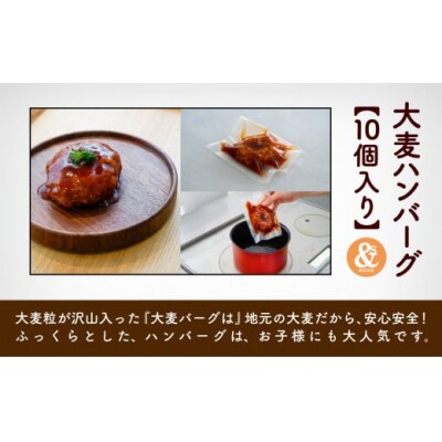 国産大麦のハンバーグ 10個入り 冷凍ハンバーグ 小分け包装 小松市産大麦