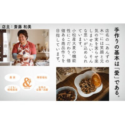 国産大麦のハンバーグ 10個入り 冷凍ハンバーグ 小分け包装 小松市産大麦