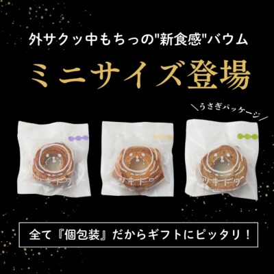 ツキトワminiバウム3種詰め合わせ8個入り バウムクーヘン個包装 バームクーヘン食べ比べ