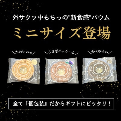 ツキトワminiバウムクーヘン3種詰め合わせ8個入り 個包装 バームクーヘン