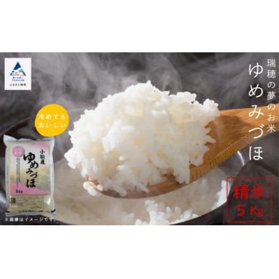 【新米先行受付】令和7年産 ゆめみずほ 精米 5kg 冷めても美味しい小松市産のお米