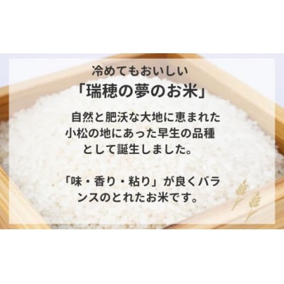【新米先行受付】令和7年産 ゆめみずほ 精米 5kg 冷めても美味しい小松市産のお米