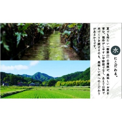 お餅詰め合わせ「農家生水」セット とぼ餅6種&白餅2種 お餅詰め合わせセット