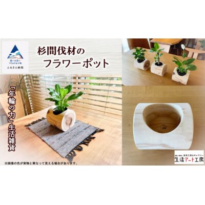 「年輪の力」生活雑貨 杉間伐材のフラワーポット