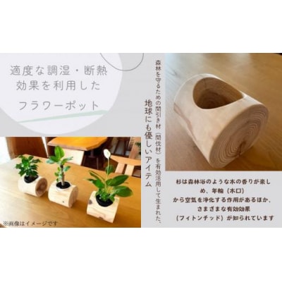 「年輪の力」生活雑貨 杉間伐材のフラワーポット