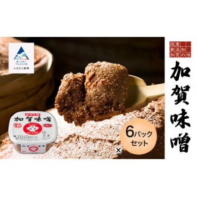 加賀味噌 500g×6パックセット 調味料 みそ