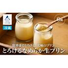 とろけるなめらか生プリン 6個 限界までとろけるプリン ギフトプリン