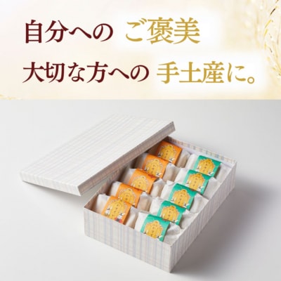 ツキトワ南蛮カステラ2種詰め合わせセット10個入り 個包装 貼箱入り