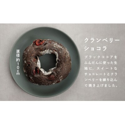 人気ハードパン詰め合わせセット 3種 16個 冷凍パン 職人のパンセット 