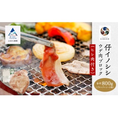 仔イノシシ ウデ肉 ヒレ肉付きブロック 800g 冷凍猪肉 天然ジビエ ジビエ認証取得で安心